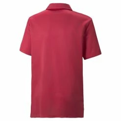 PUMA Golf Boy's Junior Essential Golf Polo 51 PUMA Golf Boy's Junior Essential Golf Polo -Golf Clubs Sales Store df443c6dd19767f10cc7911df206ce6fc89591bb
