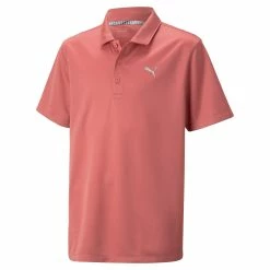 PUMA Golf Boy's Junior Essential Golf Polo 74 PUMA Golf Boy's Junior Essential Golf Polo -Golf Clubs Sales Store h0mfg12at8nd9npd6168