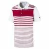 PUMA Golf Puma Spotlight Mens Golf Polo 2 PUMA Golf Puma Spotlight Mens Golf Polo -Golf Clubs Sales Store 577882 14RHUBARBPEA